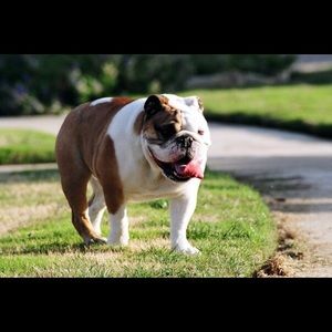 Meet your Posher, Cheryl